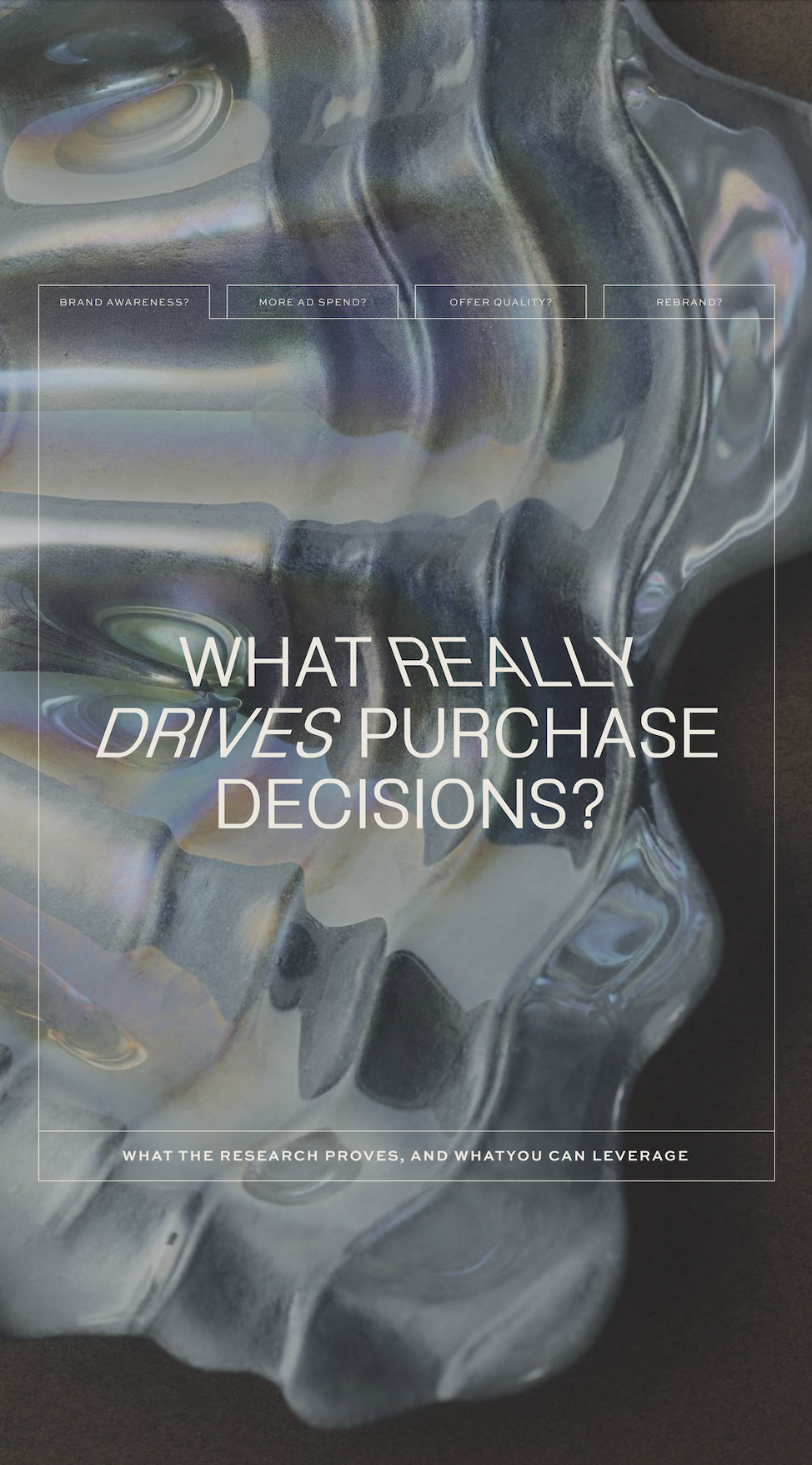 What really drives purchase decisions?